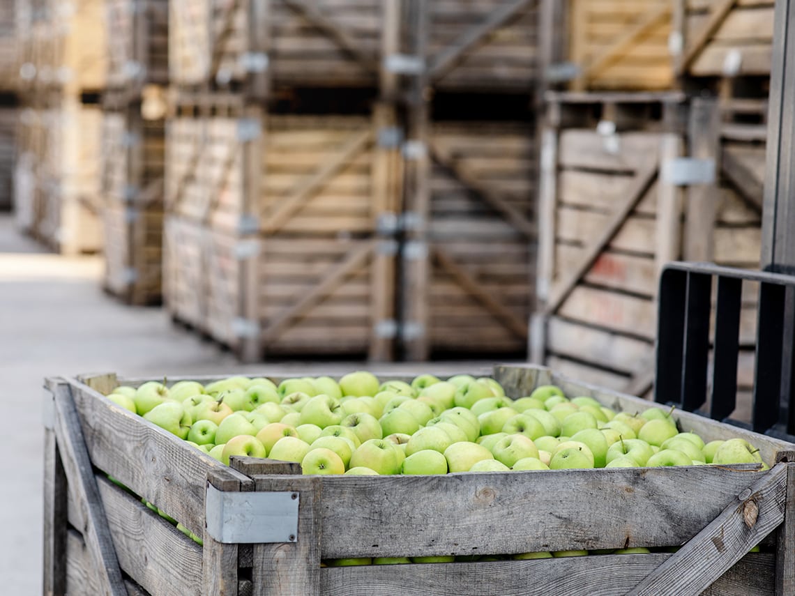 Moving Your Business Forward With Food Distribution