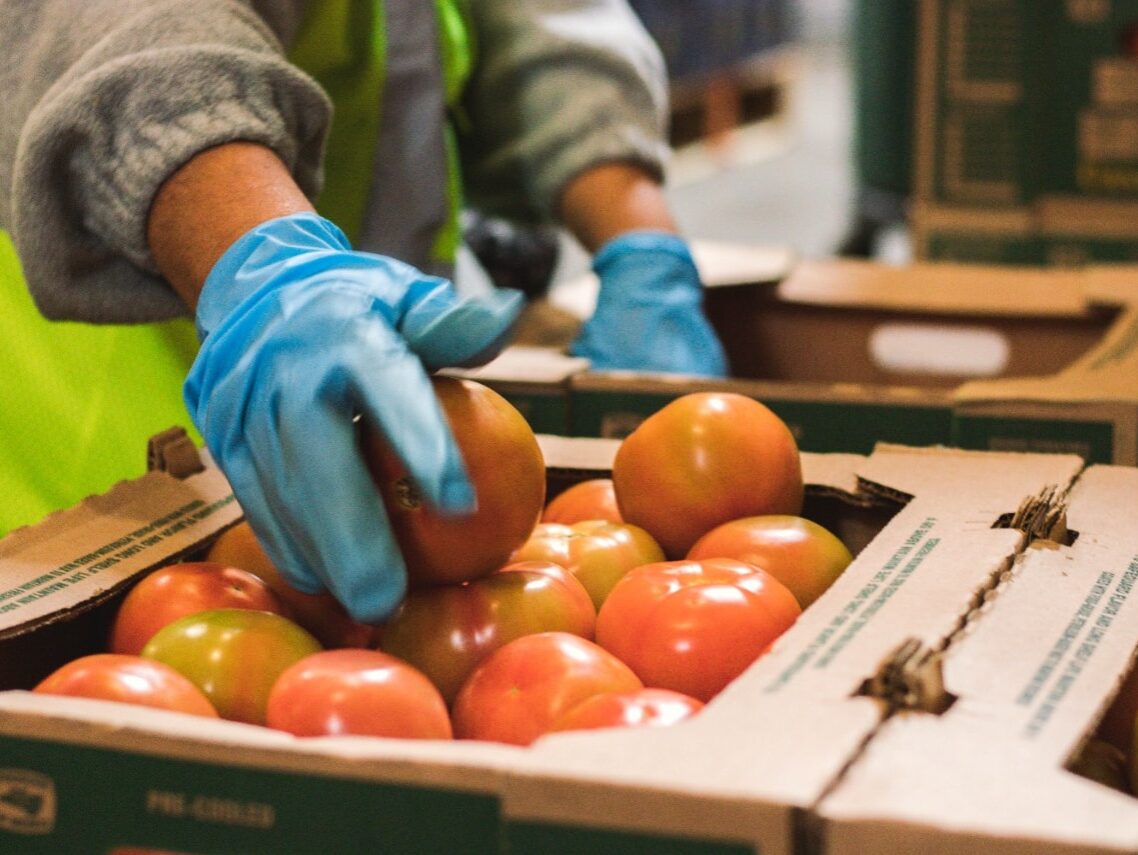 The Farm to Table Movement: Bringing Freshness and Sustainability to Your Plate